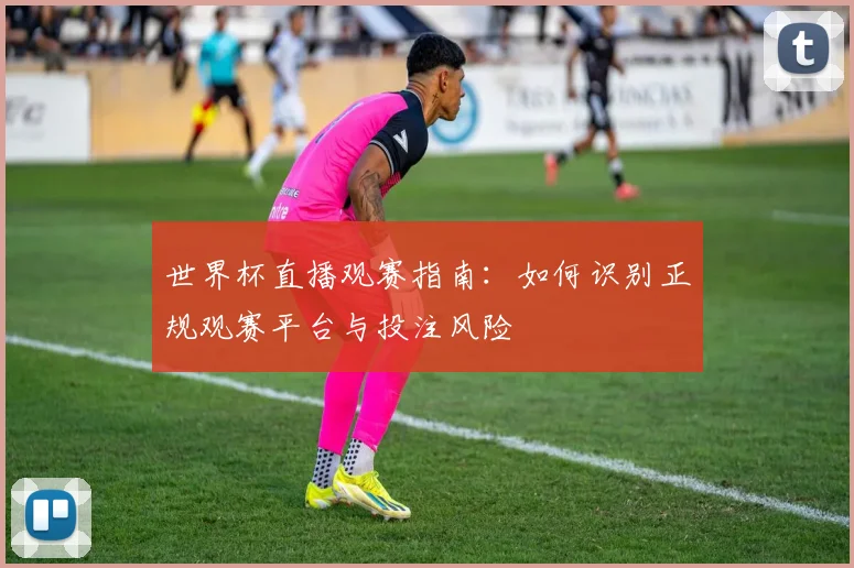 世界杯直播观赛指南:如何识别正规观赛平台与投注风险