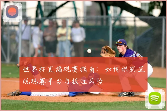 世界杯直播观赛指南：如何识别正规观赛平台与投注风险