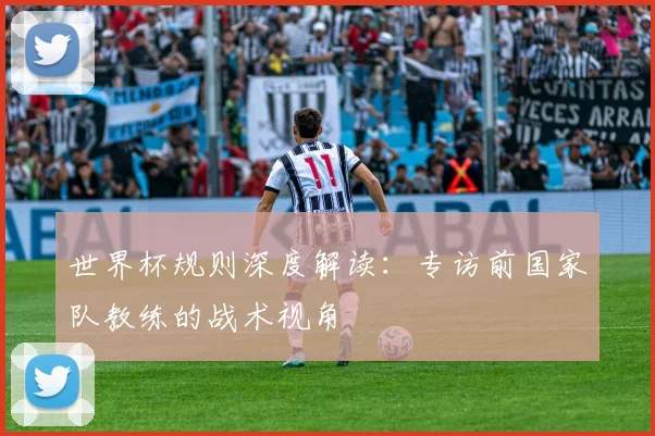 世界杯规则深度解读:专访前国家队教练的战术视角